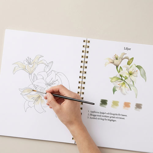 Komplett set för akvarellmålning